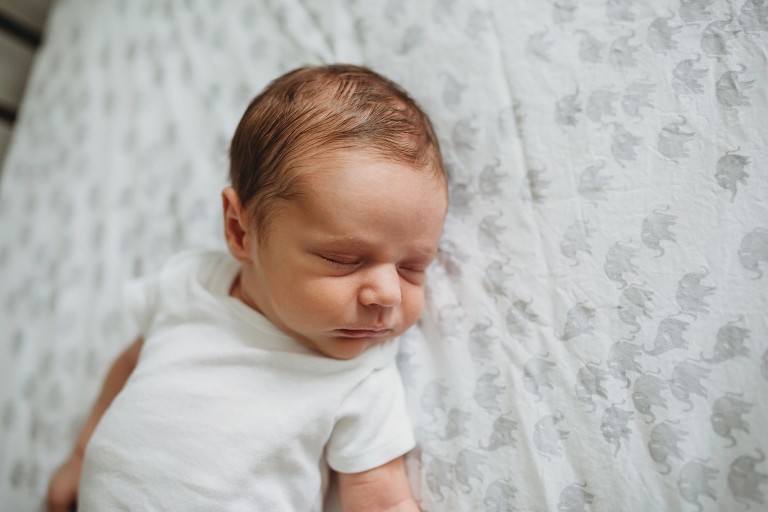 newborn photographer in college station texas