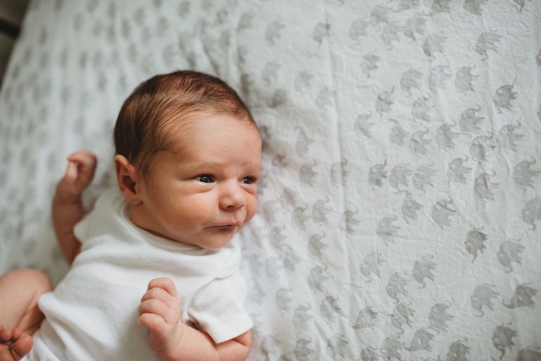 newborn photographer in college station texas