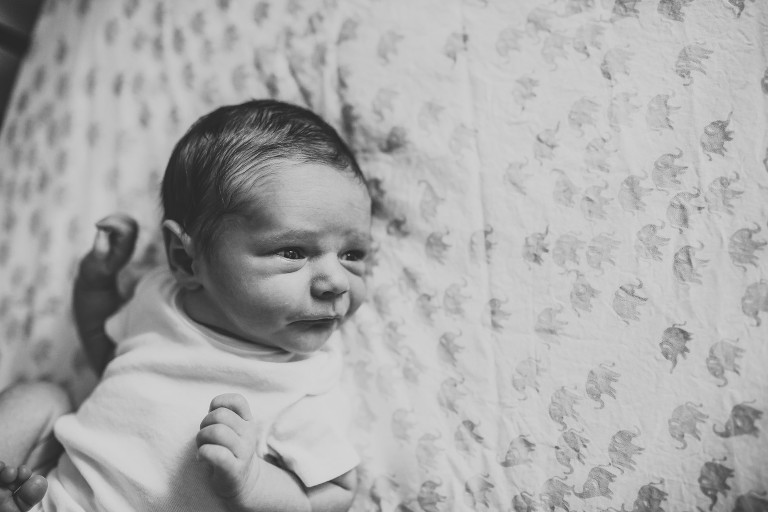 newborn photographer in college station texas