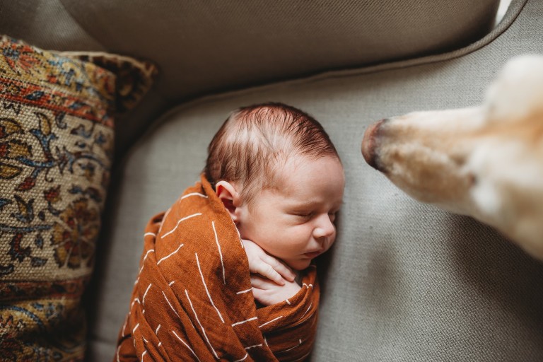 newborn photographer in college station texas