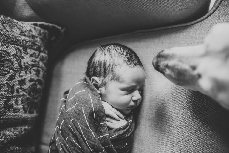 newborn photographer in college station texas